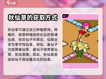 皮卡堂🔥秋仙草获取全攻略✨玩家必看！截图2