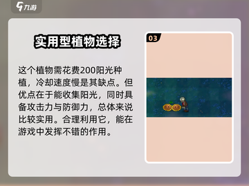 植物大战僵尸：阳光炸弹💥超神效果逆天！截图4