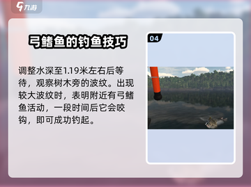 钓鱼星球🔥弓鳍鱼终极钓法攻略，稳上岸！🐟截图5