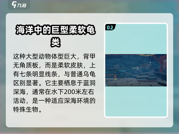 潜水员戴夫手游🔥揭秘棱皮龟真实名字✨截图3