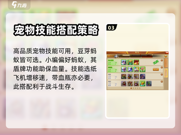 弹弹堂大冒险🔥勇士秘境通关攻略⚡必看截图4