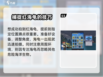 潜水员戴夫海龟拍照点💎位置大曝光！🎉截图4