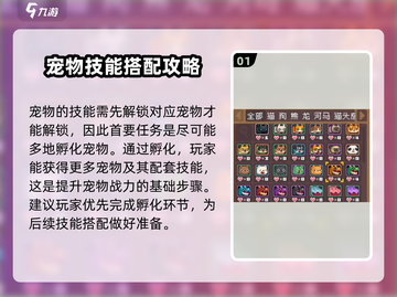 元气骑士前传🔥宠物技能搭配攻略💡宠物最强组合来啦！截图2