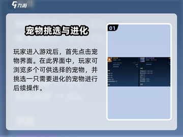 地下城与勇士手游🔥宠物进化方法大公开！💡截图2