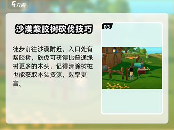 🔥《波西亚时光》手游铁木获取攻略💎截图4