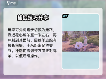 无限暖暖花心绵羊清洁全攻略💡抓羊神器⚡截图3