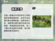 🔥日本战国手游推荐🎉2024必玩截图3
