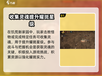 饥荒新家园✨耀斑升星攻略，快速提升战力！截图2