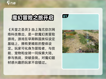 天堂之圣灵🔥：揭秘游戏归属国家，玩家必看！🎮截图2