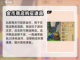 箭箭剑金币花法大揭秘💥，玩家必看！🎉截图2
