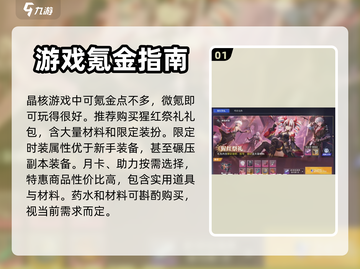 晶核🔥氪金攻略：手游党必看！💎截图2