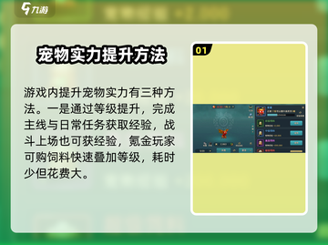 魔力宝贝复兴版🔥宠物实力飙升秘籍💡截图2
