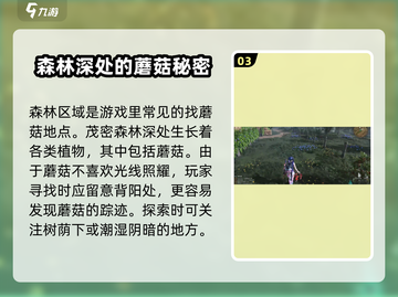 《七日世界》🔥蘑菇采集秘境位置大曝光！截图4