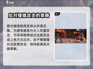 暗影格斗3🔥狸猫打法技巧分享，轻松击败强敌！截图2