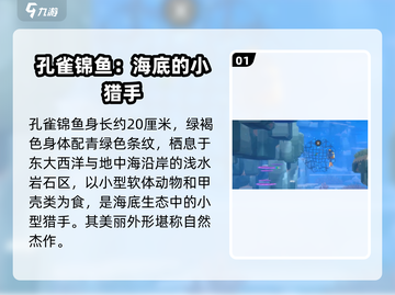 潜水员戴夫📖孔雀锦鱼📍寻找攻略来啦！截图2