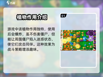 植物大战僵尸：魅惑毁灭菇6🔥超强作用揭秘！截图2