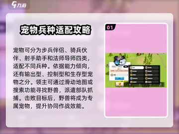 万龙觉醒💥抓稀有宠物超全教程来啦！펫截图2