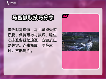 燕云十六声🔥抓马攻略：快速抓捕马匹💡截图5
