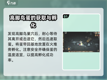 饥荒联机版🔥高脚鸟蛋孵化方法大揭秘🎉截图2