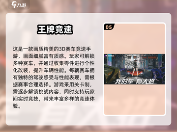🔥2025超燃赛车双人游戏合集💥🎮截图6