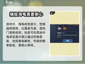 黎明之海绿海龟宠物获取🔥超详细攻略来啦！🐢截图2