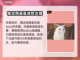 怪物猎人：荒野艾露猫🔥超全介绍来啦！截图3