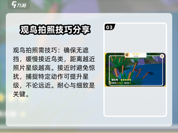 心动小镇鸟类图鉴大公开！📸快速集齐图鉴技巧来啦～截图4