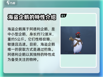 黎明之海💎海盗企鹅获取攻略🎉截图2