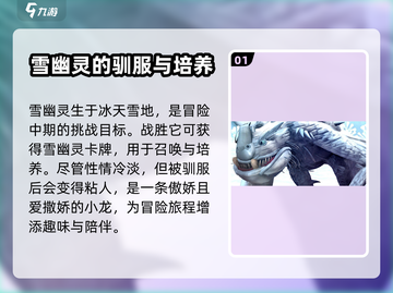驯龙高手旅程🔥雪幽灵超强攻略🌟截图2
