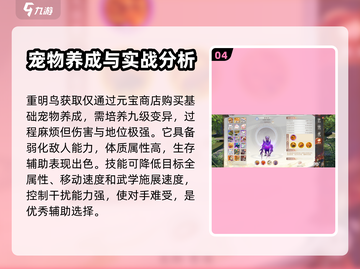 天龙八部2手游宠物选择🔥最强攻略来了！截图5