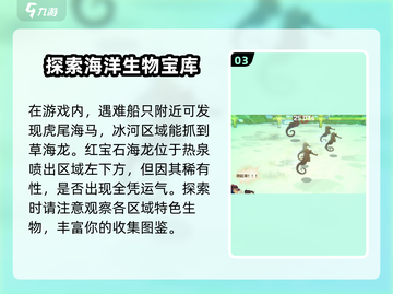 潜水员戴夫海马捕捉⚡超简单攻略🎉截图4