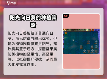 植物大战僵尸之阳光向日葵🔥超好玩/Game必备🌱截图3