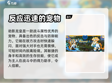 洛克王国手游🔥最强主宠排行榜✅宠物推荐截图2