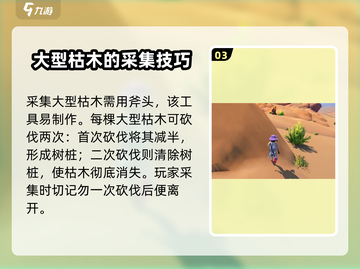 沙石镇时光💡石化木位置大曝光！采集攻略速看！截图4