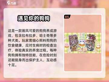 🐶2025狗狗最爱玩的10种游戏！🔥截图6