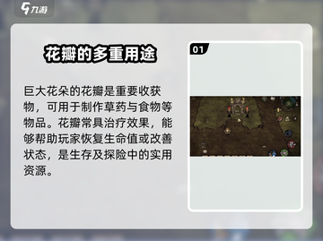 饥荒新家园🔥巨大花朵作用全解析꽃截图2