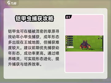 洛克王国世界🔥精灵铠甲虫超强解析💎截图2