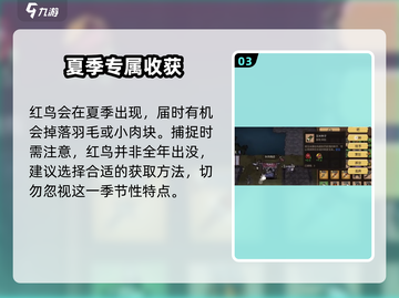 饥荒新家园🔥红鸟位置全揭秘！快速找到红鸟的方法在这里👇截图4