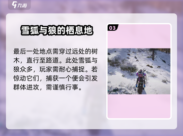 七日世界🔥雪狐获取攻略｜轻松到手💎截图4