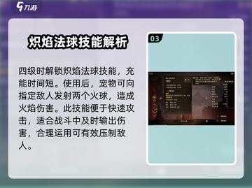 龙息神寂芙罗拉🔥超强玩法攻略来了！截图4