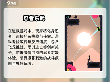 🔥2025必玩单机忍者手游大盘点！🎮截图2