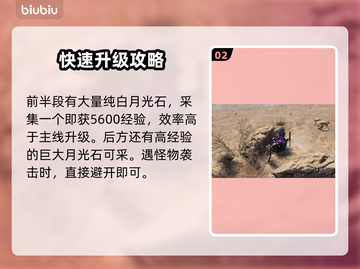 王权与自由🔥升级攻略，快速提升战力💡截图3
