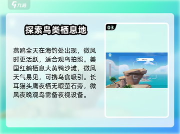心动小镇：快速解锁观鸟秘籍🔥🎉截图4