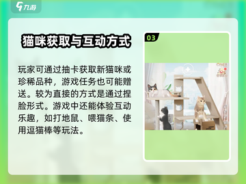 超喵星计划💥：轻松拥有布偶猫，秘籍在这里！🐱截图4