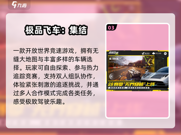 🔥2025最燃3D赛车手游💥截图4