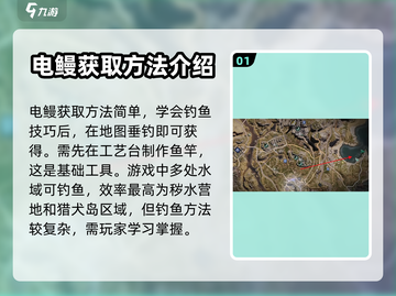 七日世界💡电鳗获取攻略，轻松捕获⚡截图2