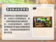 龙之谷世界手游🔥超好玩吗？评测来了！截图4