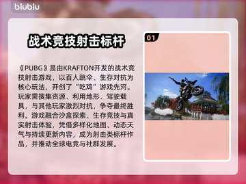 💥PUBG掉帧救星！秒变流畅吃鸡！🎮截图2