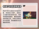 原神⚡希诺宁培养攻略，快速养成秘籍！🔥截图2