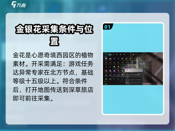 《七日世界》金银花大爆料💥，速来领取！截图2